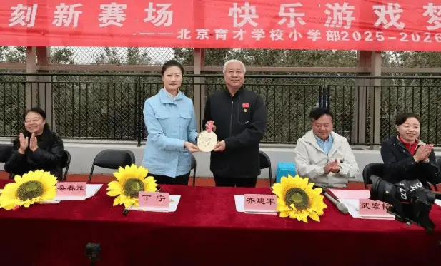 丁宁的职务, 着强大的影 丁宁的职务, 着强大的影